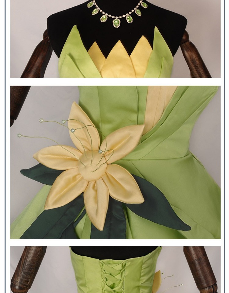 Princess Tiana Dress Cosplay C - Women'S Accessories List review and price