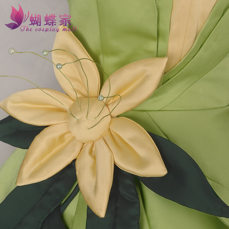 Princess Tiana Dress Cosplay C - Women'S Accessories List review and price