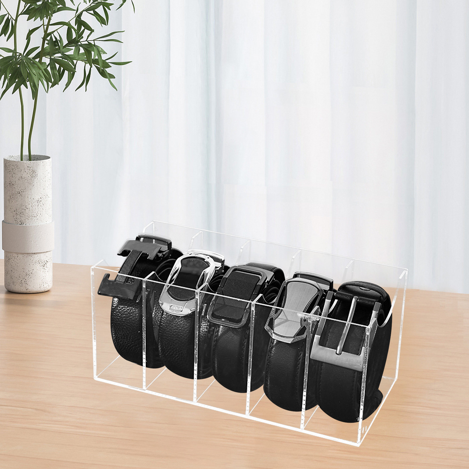 5-Compartment Transparent Belt - Women Accessories Holder review and price