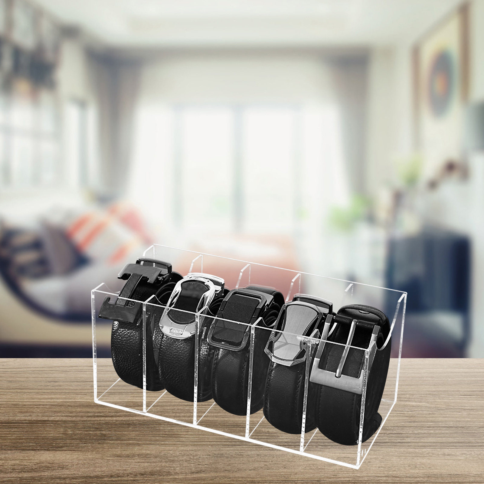 5-Compartment Transparent Belt - Women Accessories Holder review and price